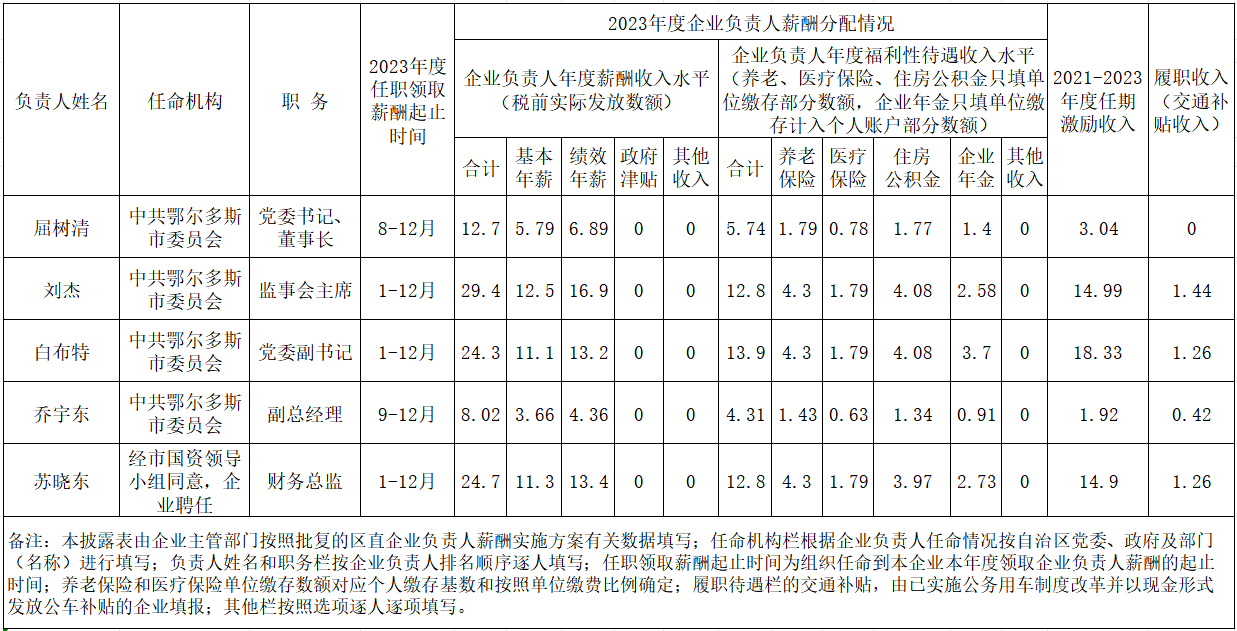 企業(yè)負責(zé)人.png